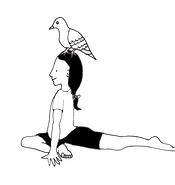 pigeon yoga